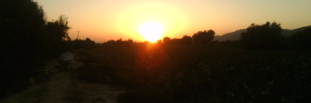 slmanijaz's profile banner image