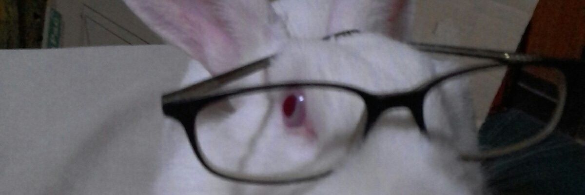 josirius's profile banner image