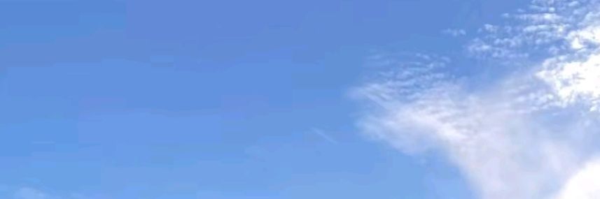 nopiti banner