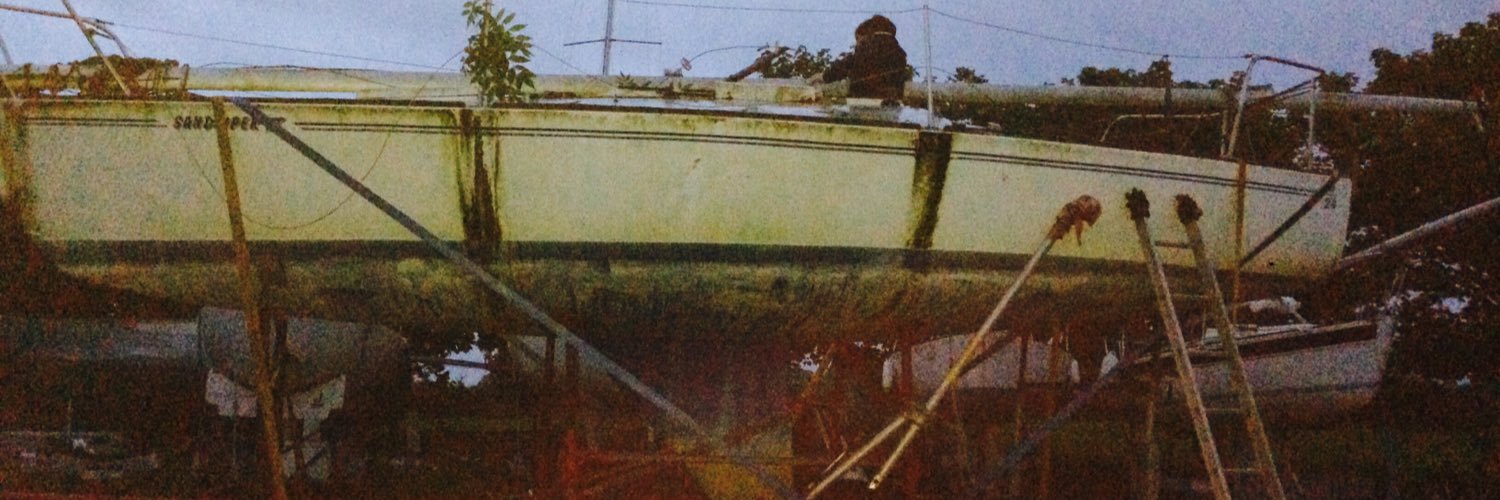Siobhan Dolan banner