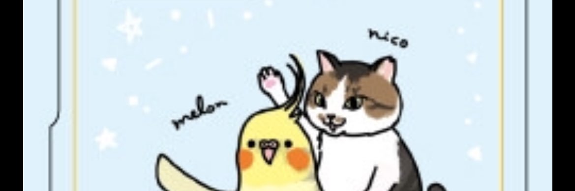 melon2006's profile banner image