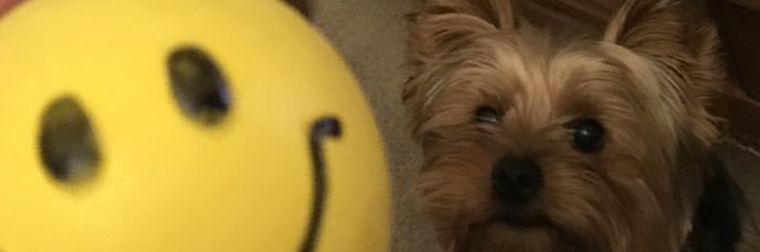 Darren  Tyler 🇨🇺 banner