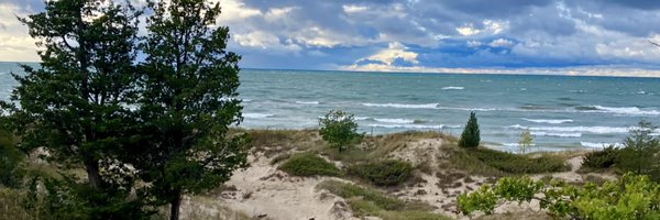 TreeLakeRain Profile Banner