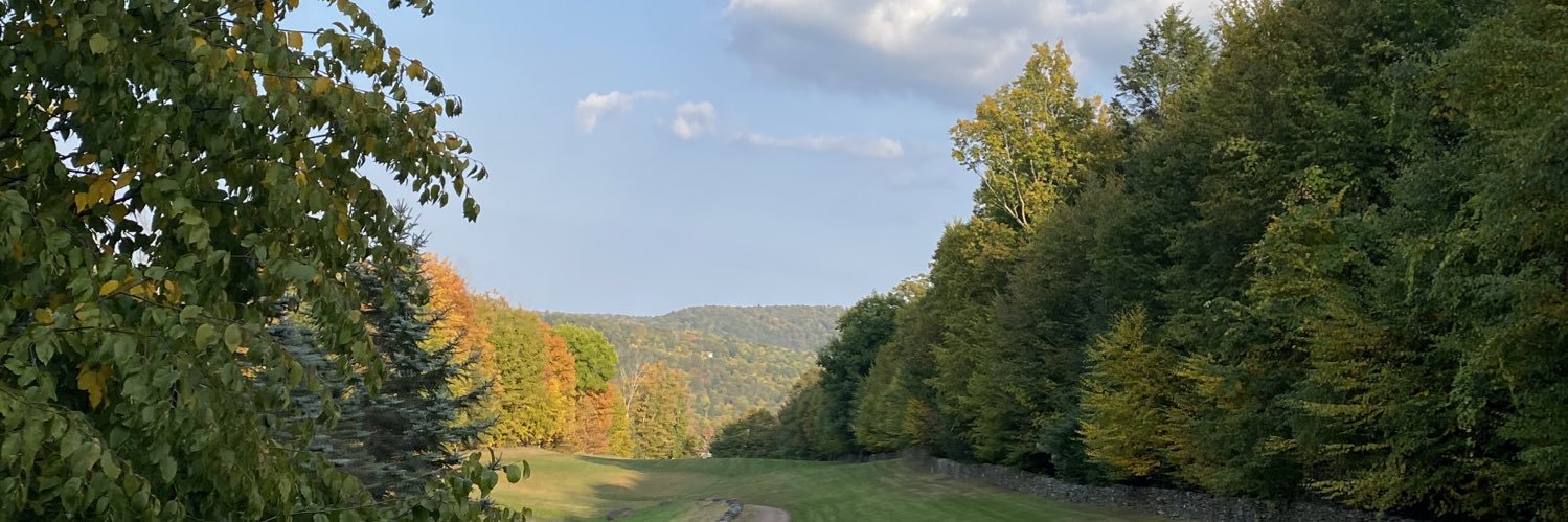 RCarrotto's profile banner image