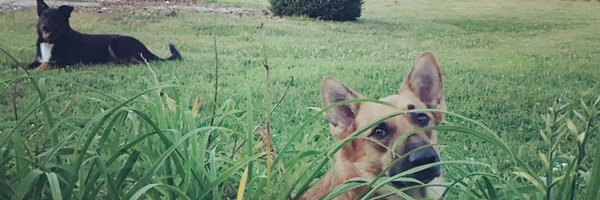ThomasEDavis10 Profile Banner