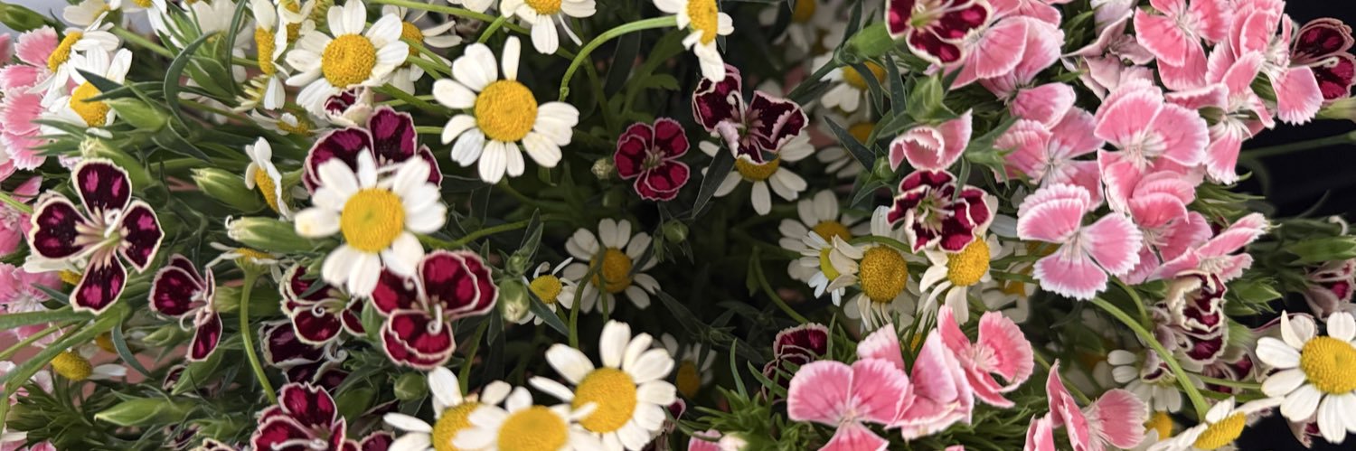 mariaway's profile banner image