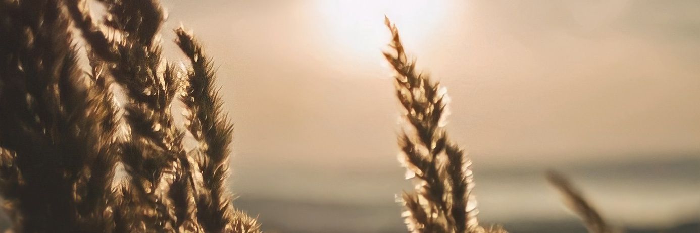 makbereyolcu's profile banner image