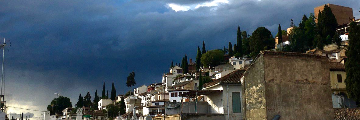 Marta Gutiérrez banner