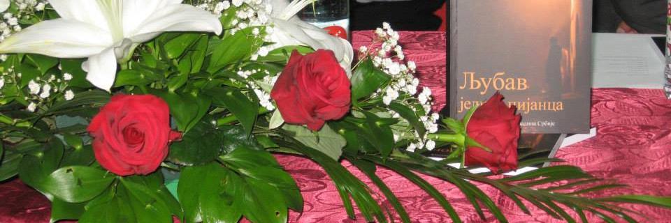 daliborstefano1's profile banner image