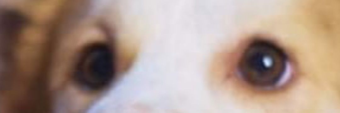 eli_aranas12's profile banner image