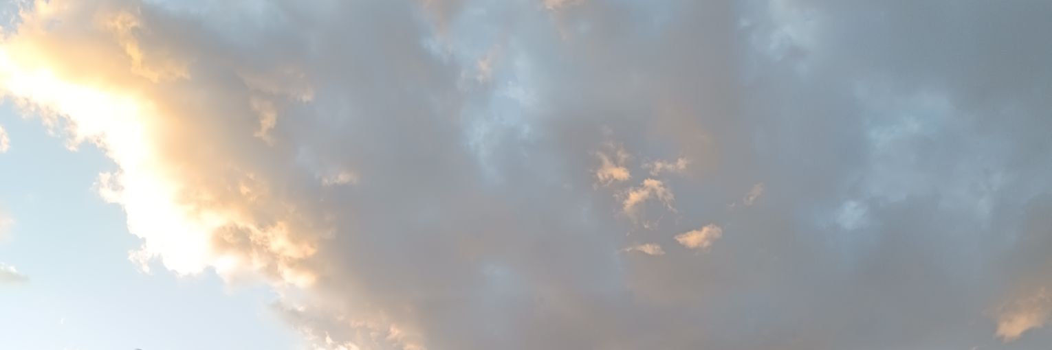 Bonkc banner