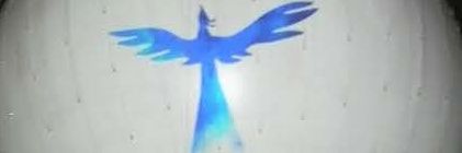 t_noir's profile banner image