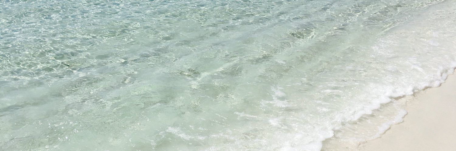 Aurauris's profile banner image