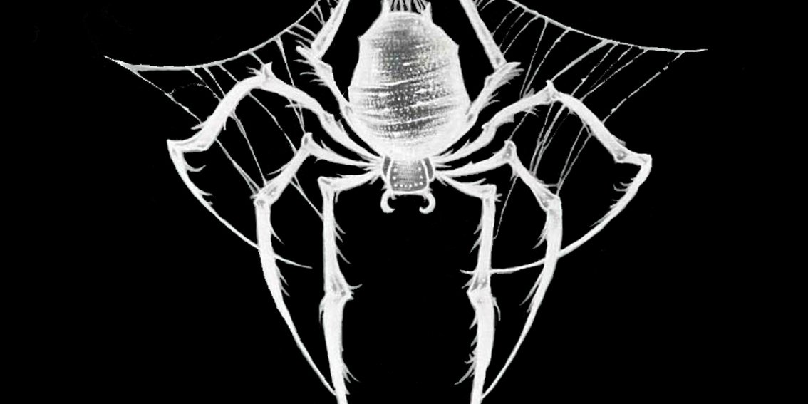 nob ( ಠ_ಠ) banner