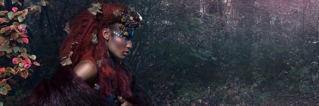 SapphireStyling's profile banner image