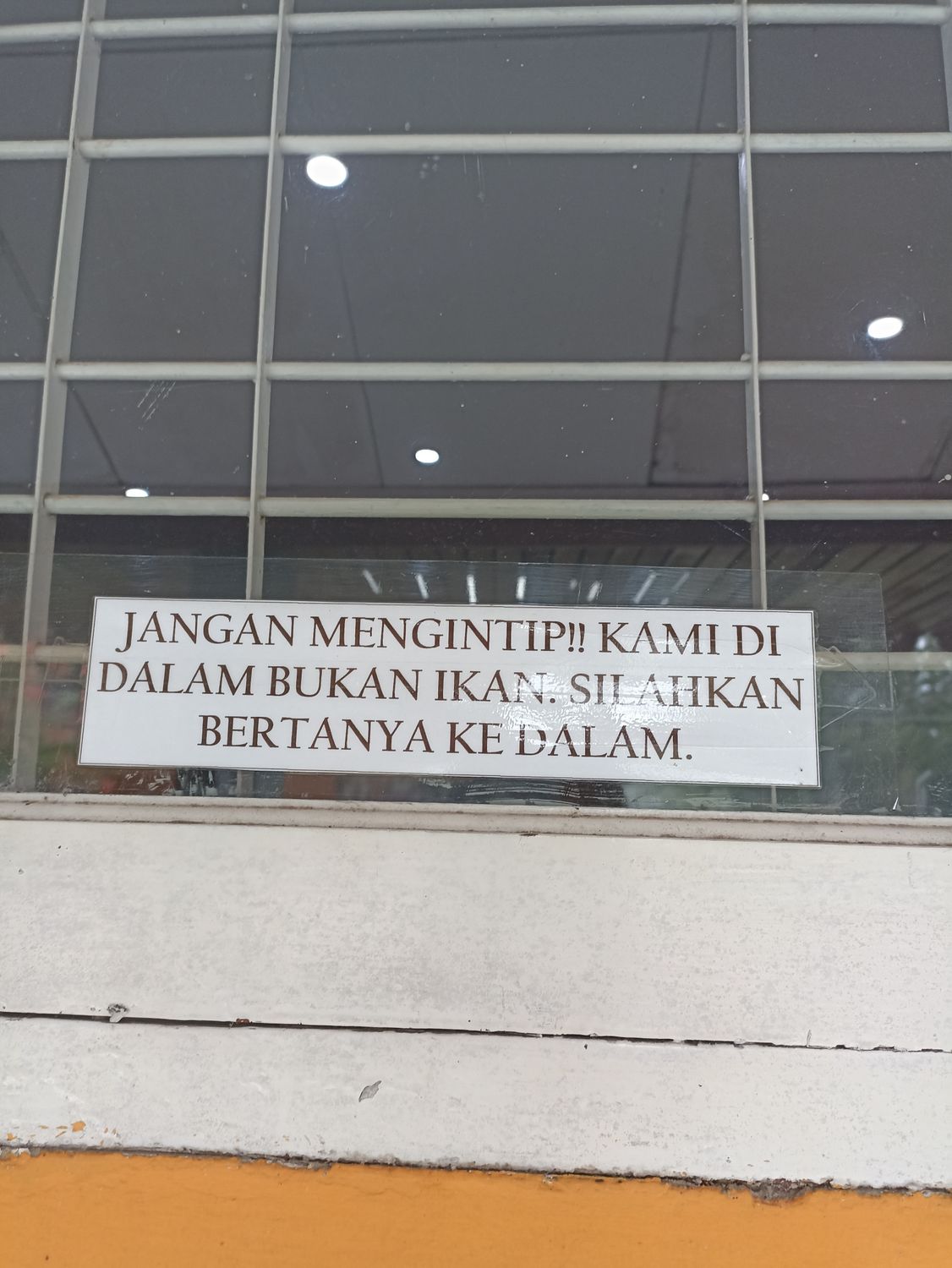piyuupiyu banner