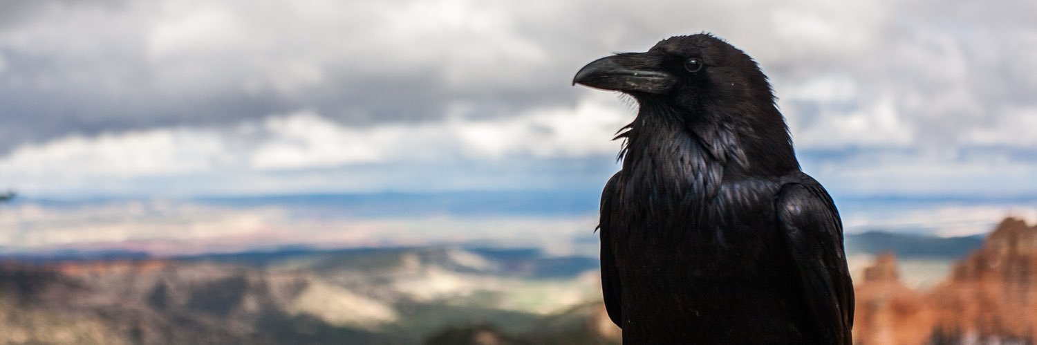 EarlyBird banner