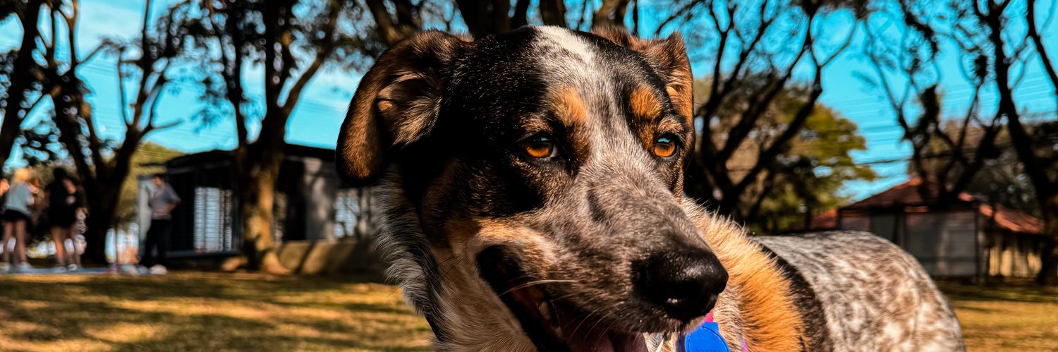 channegabi's profile banner image