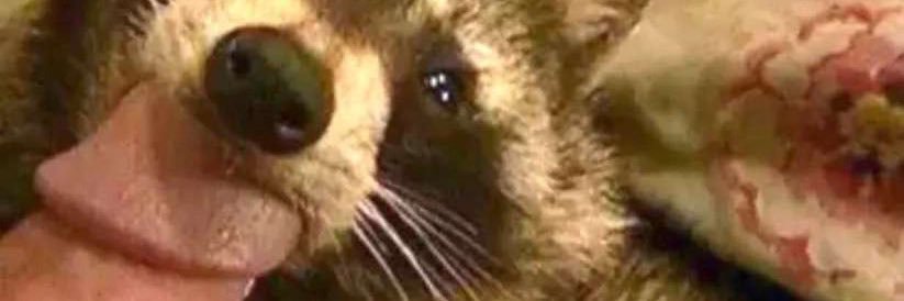 demetrious archibald IV banner