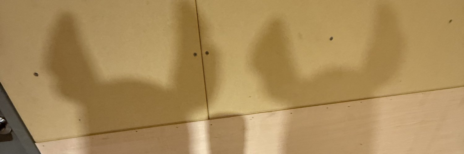 RdancEN__'s profile banner image