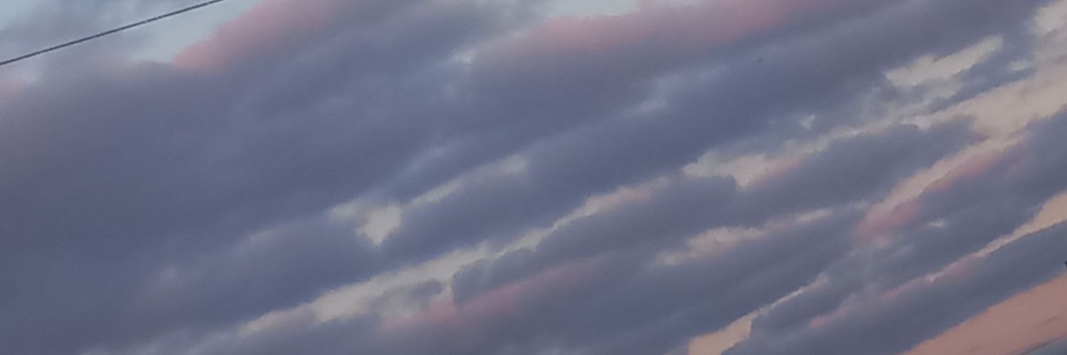 Maga_zinga27's profile banner image