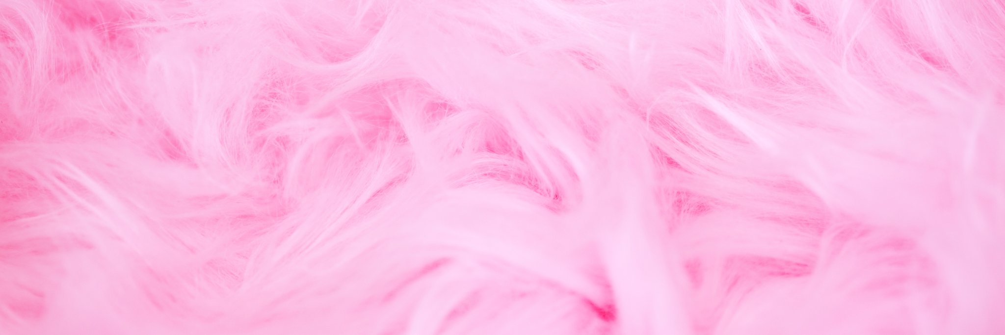 Puifai Yang banner