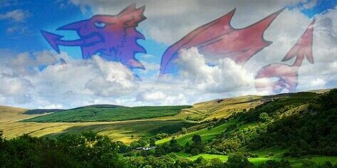 ✶ 🎀 𝐿𝑒𝒶𝓃𝓃𝑒 𝒫𝒶𝓇𝓈🍑𝓃𝓈 🎀 ✶ banner