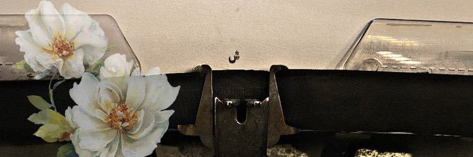 شذى banner