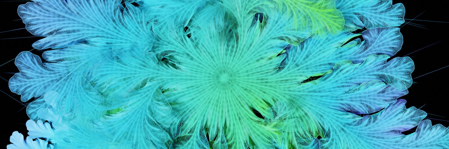 ꧁꧂'s banner
