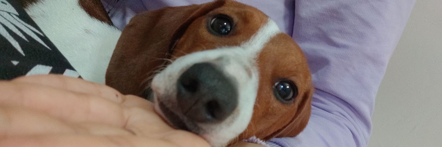 AzuCabanilla's profile banner image
