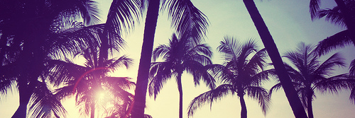 iFancyLouStyles's profile banner image
