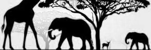 oyieri's profile banner image