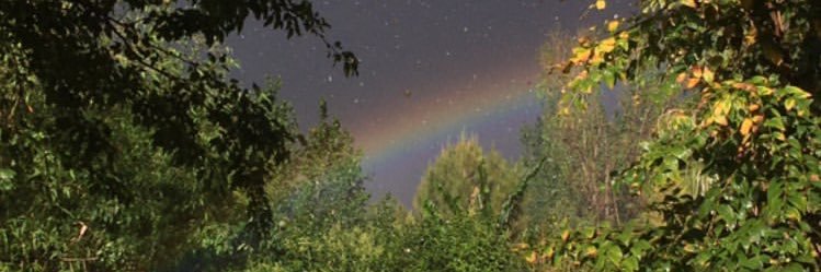 78282b's profile banner image