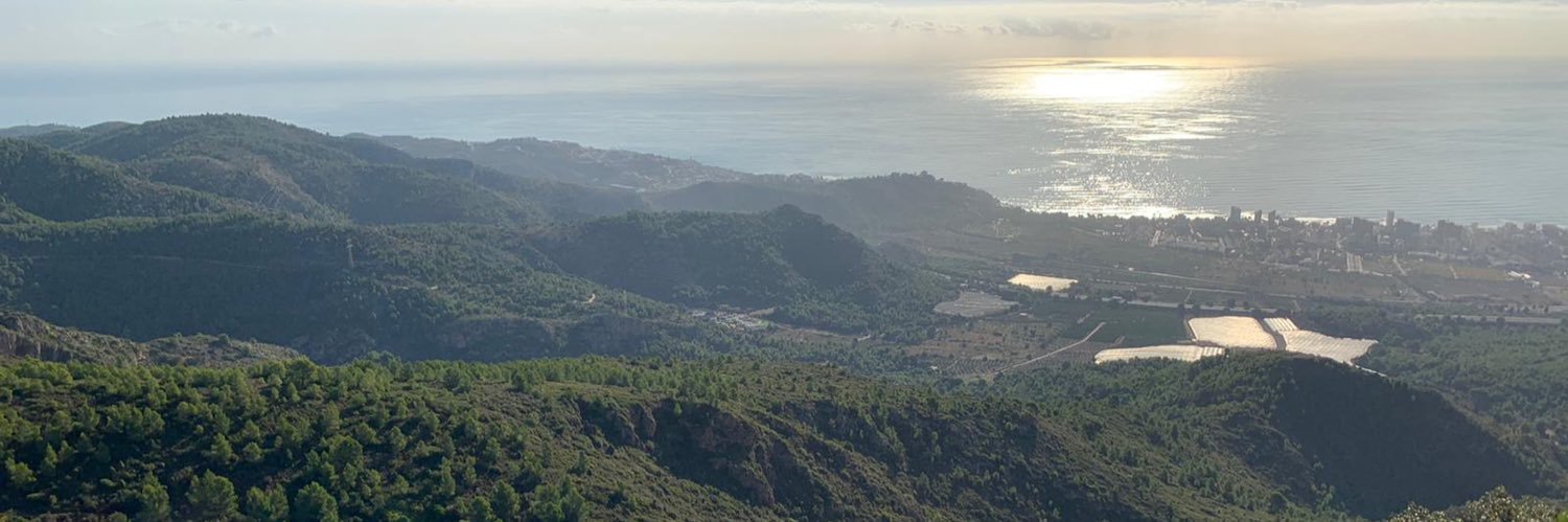 AgutPaula's profile banner image