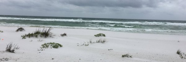 sharonmanto Profile Banner