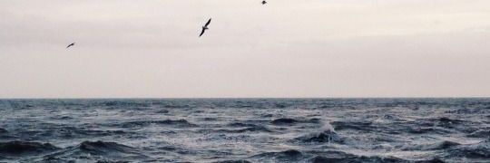 seikharm's profile banner image