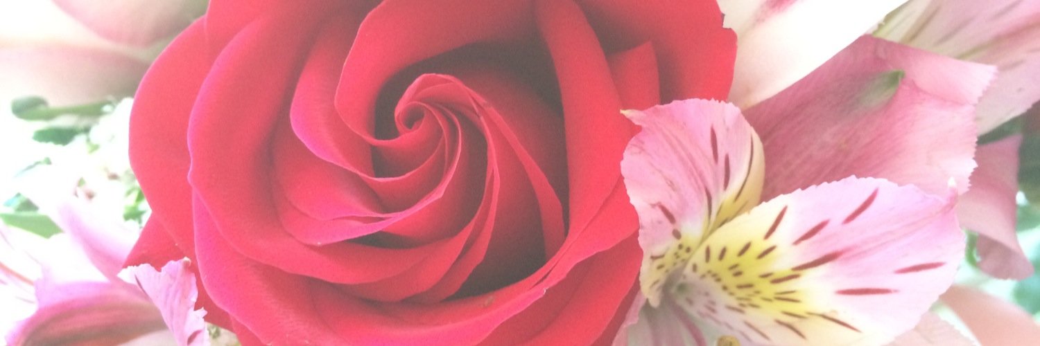 Fuscoesther's profile banner image