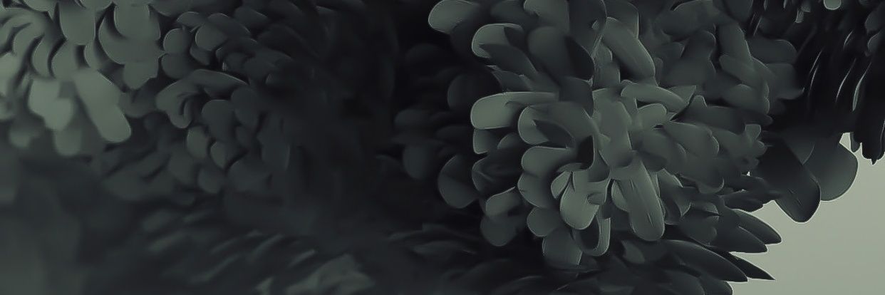 robertrobins_'s profile banner image