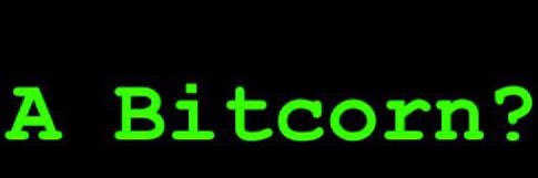 ⚡️全財産₿itcoin⚡️ banner