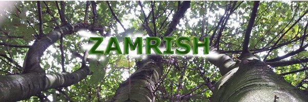 Zamrish Profile Banner