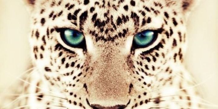 Corinafdez's profile banner image