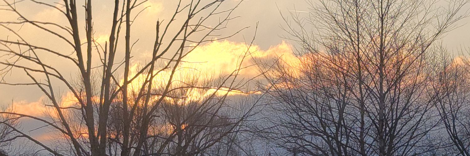 CagedBlogger's profile banner image