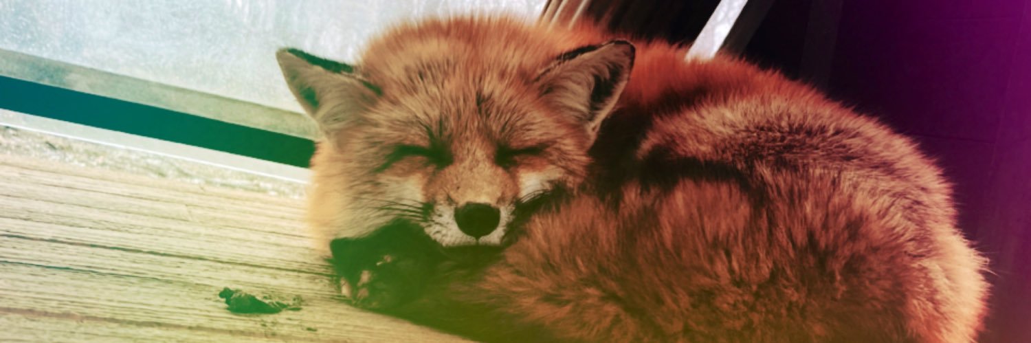 FT__NonT__'s profile banner image