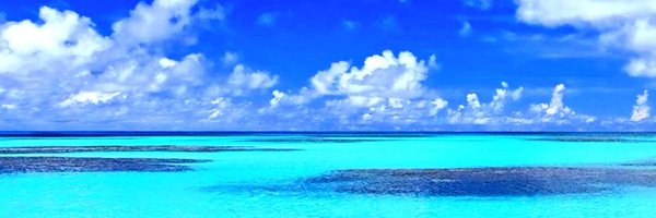 yashyoshi1 Profile Banner