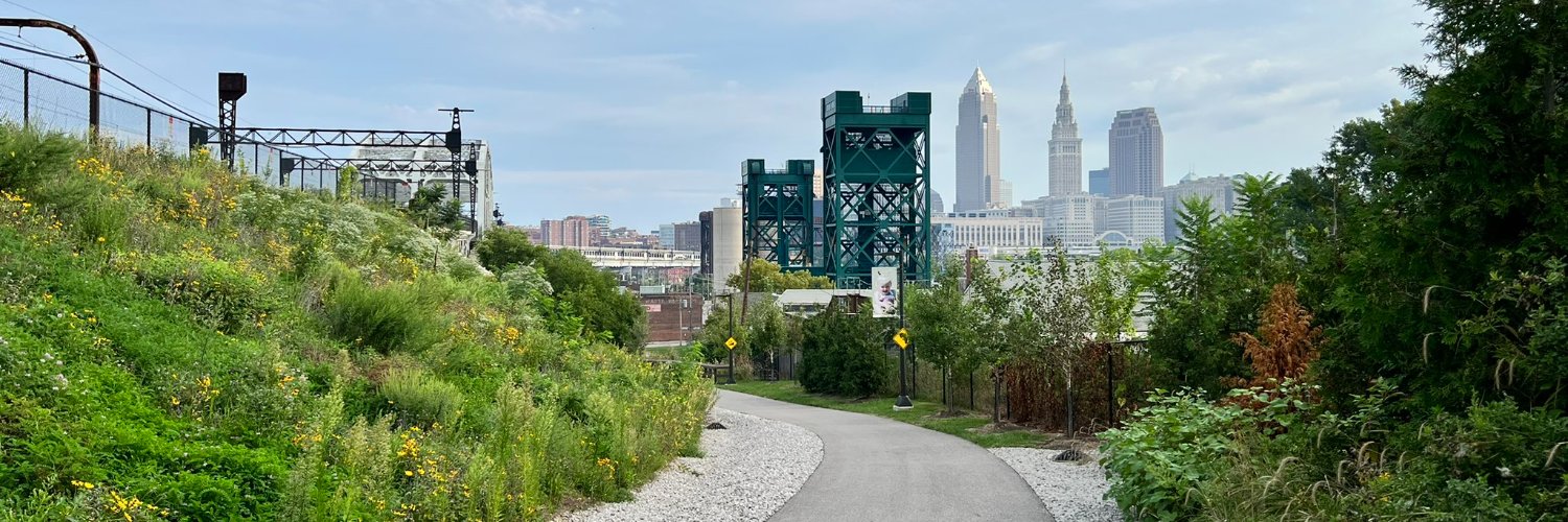 Bryan Naelitz, MD, MS banner