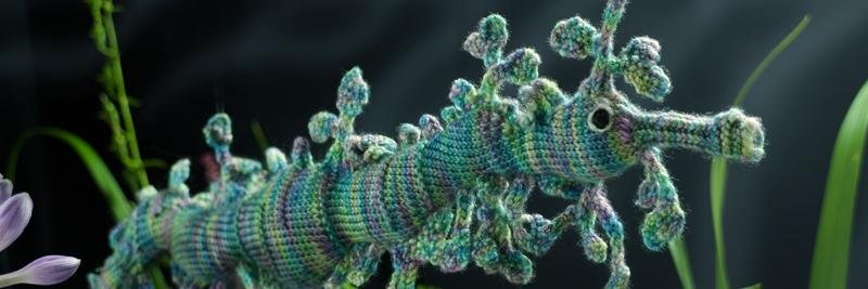 Melissa Walshe banner