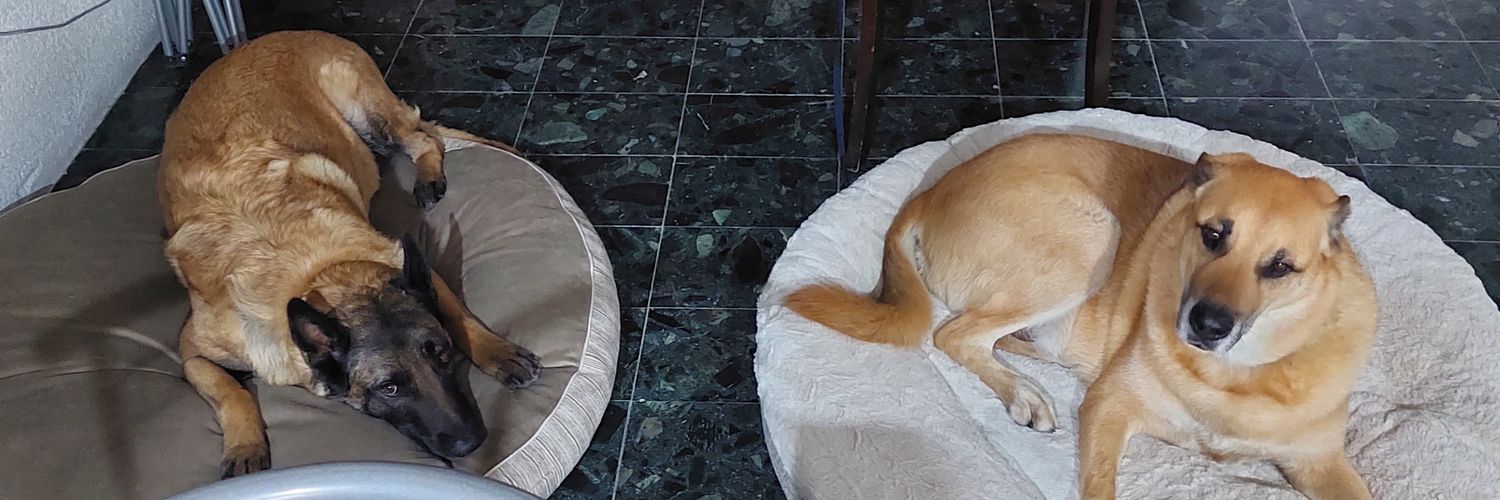 lababychesy's profile banner image