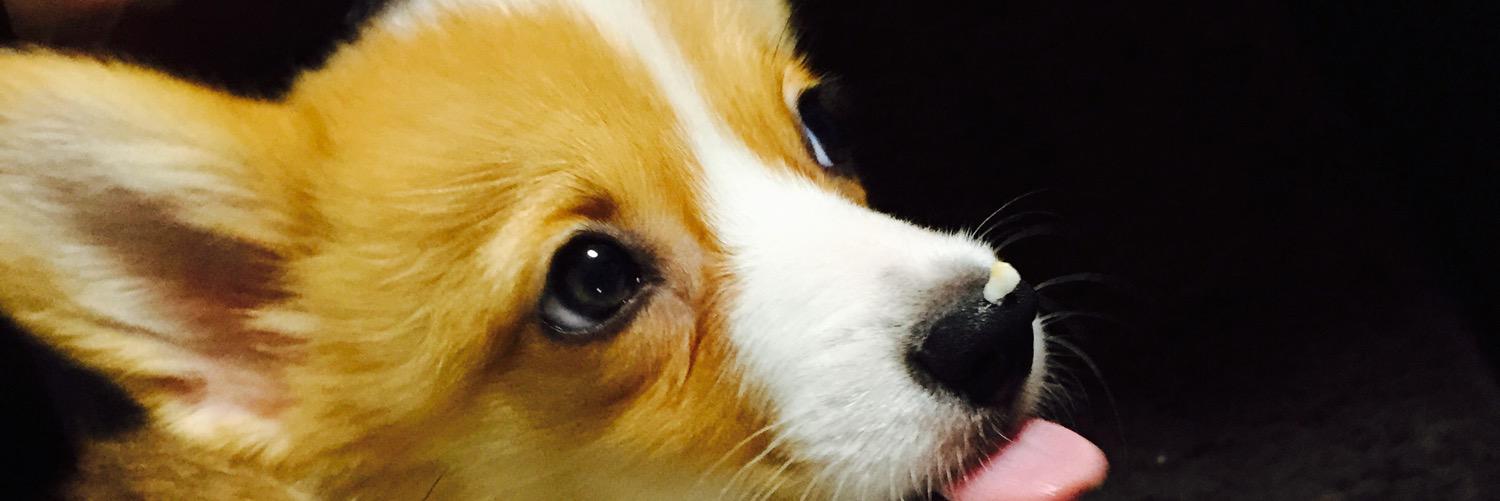 s22ma3's profile banner image
