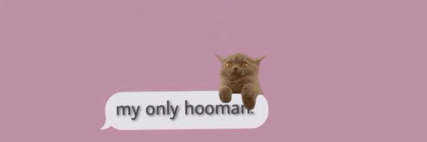 faouziathings Profile Banner
