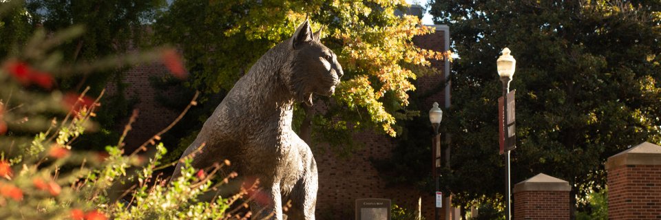 Chico Student Life & Leadership banner